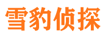 爱民雪豹私家侦探公司